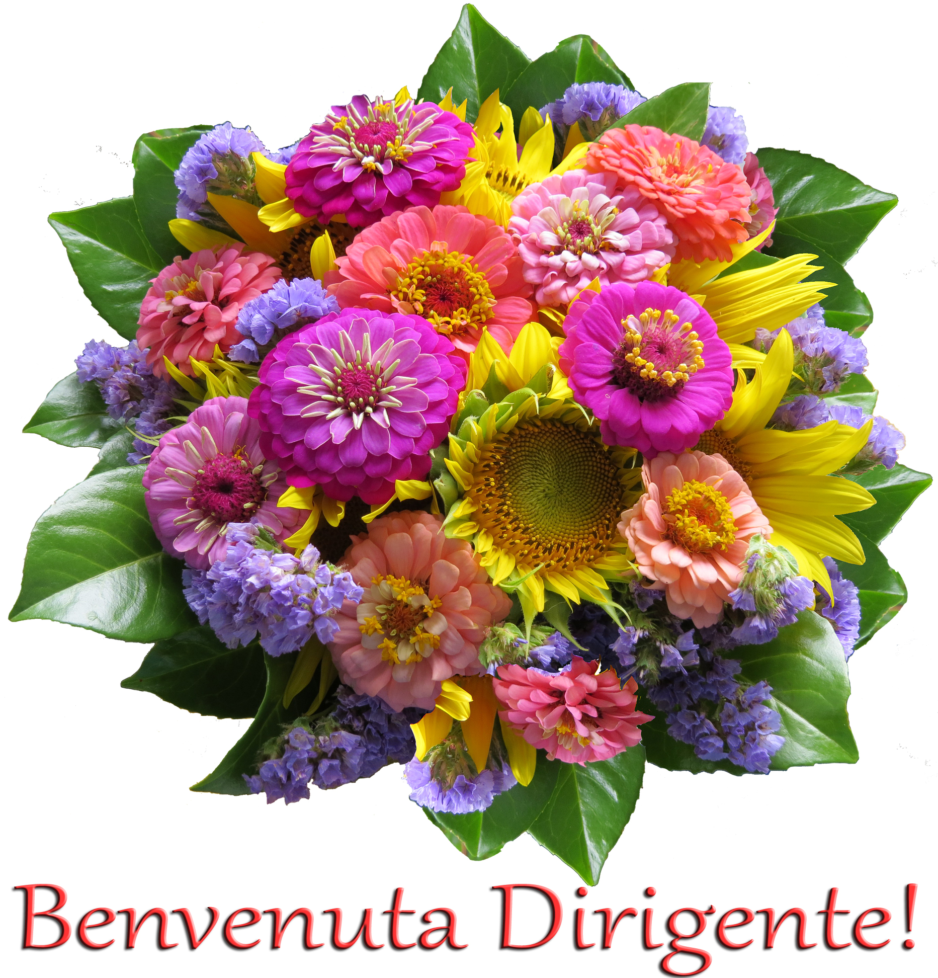benvenuta