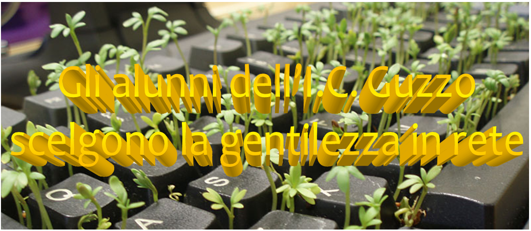 gentilezza in rete